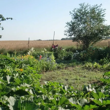 アパート Reinecke Brigitte Re Zemitz