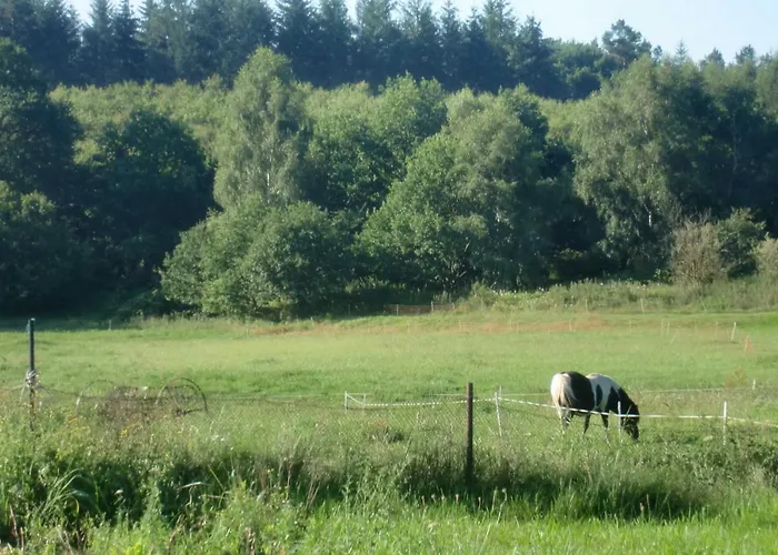 Reinecke Brigitte Re