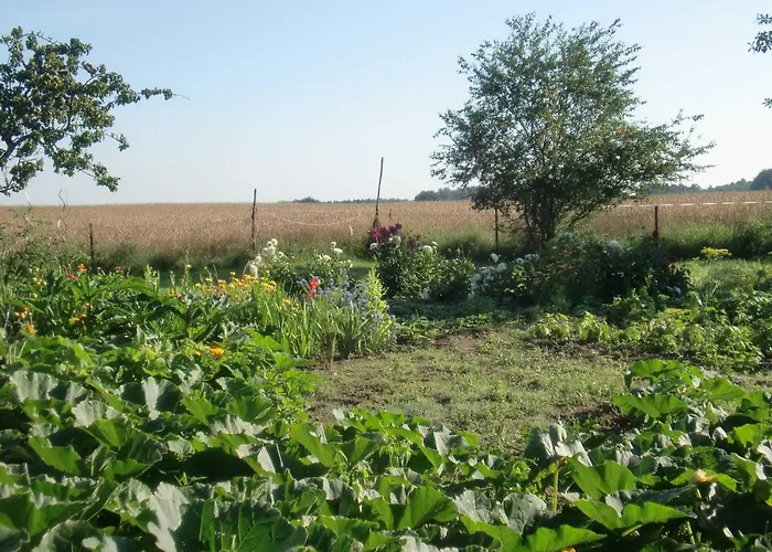 Lejlighed Reinecke Brigitte Re Zemitz